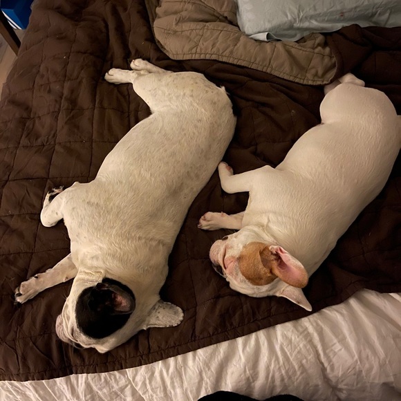 Meet your Posher, Brian - Picture 1 of 1